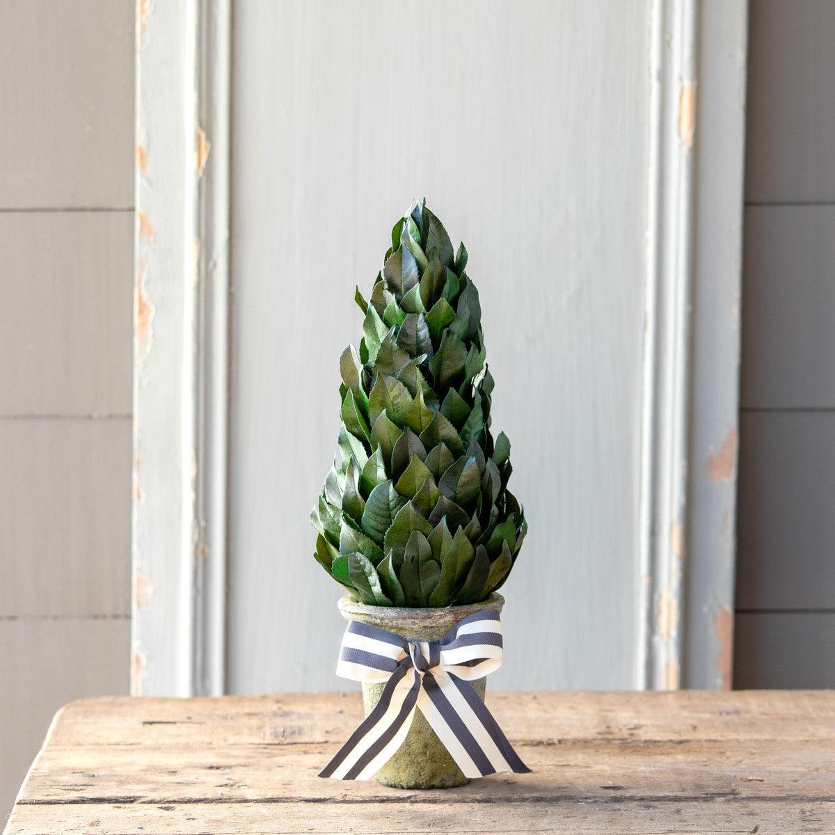 Lemon Leaf Cone Topiary, 16"-Floral-Rustic Barn Boutique