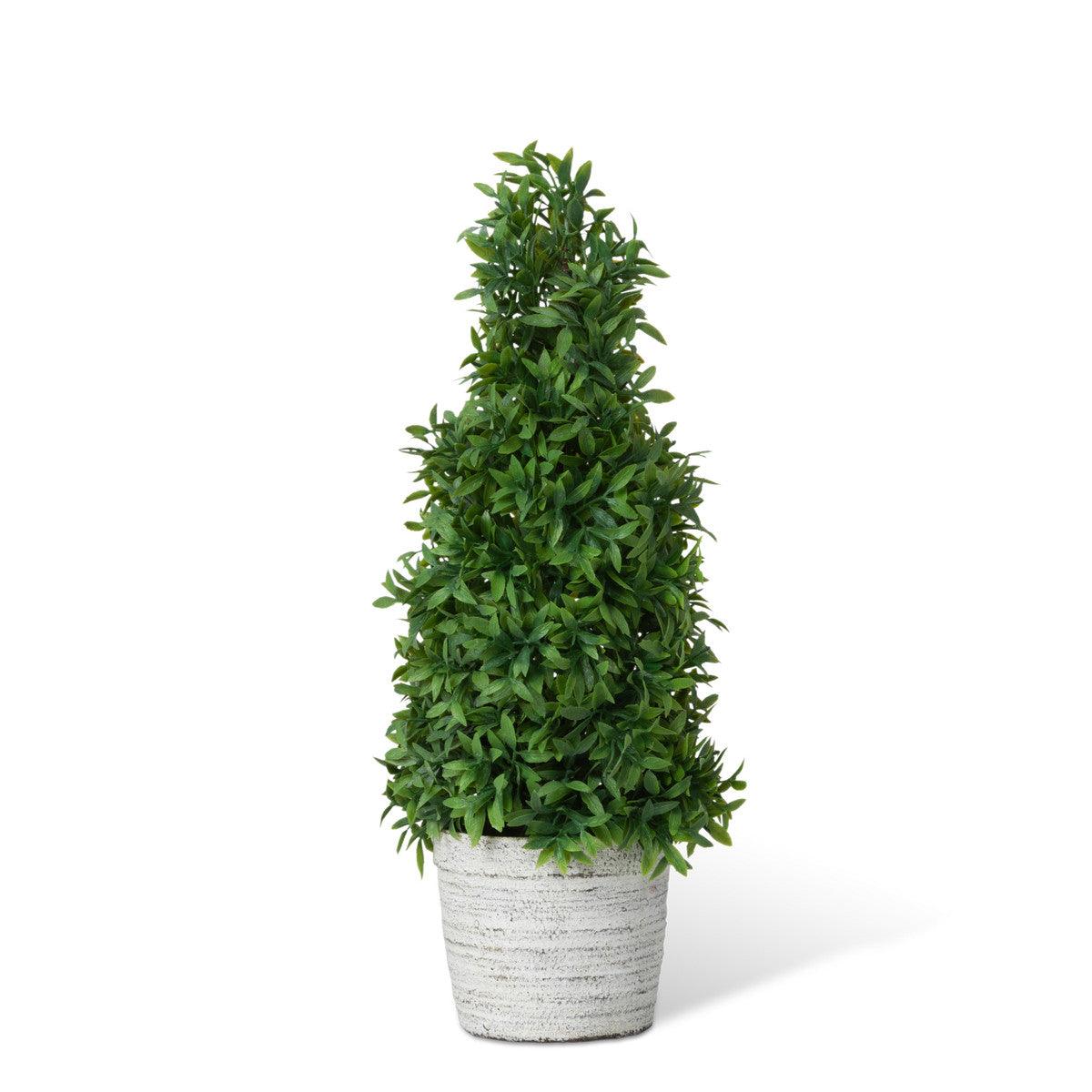Mountain Savory Cone Topiary, Medium - Signastyle Boutique