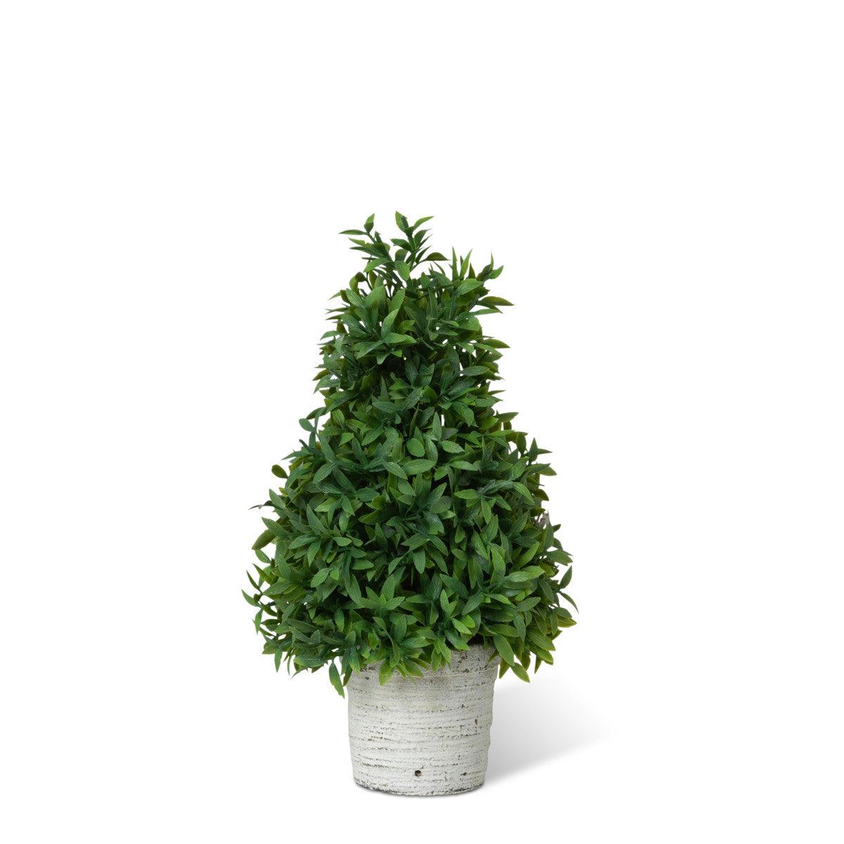 Mountain Savory Cone Topiary, Small - Signastyle Boutique