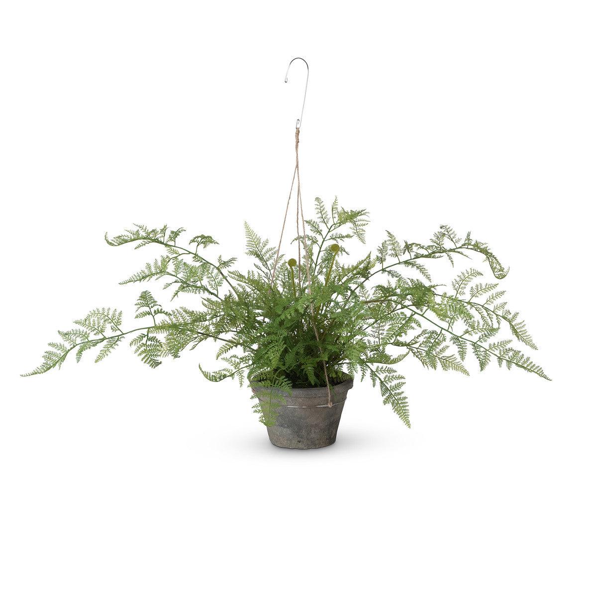Potted Hanging Fern, Large - Signastyle Boutique