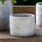 Leaf Embossed Cement Pot, Small - Signastyle Boutique