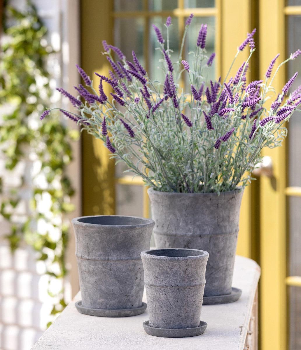 Meyer Cement Garden Pot w/ Tray, 8.5" - Signastyle Boutique