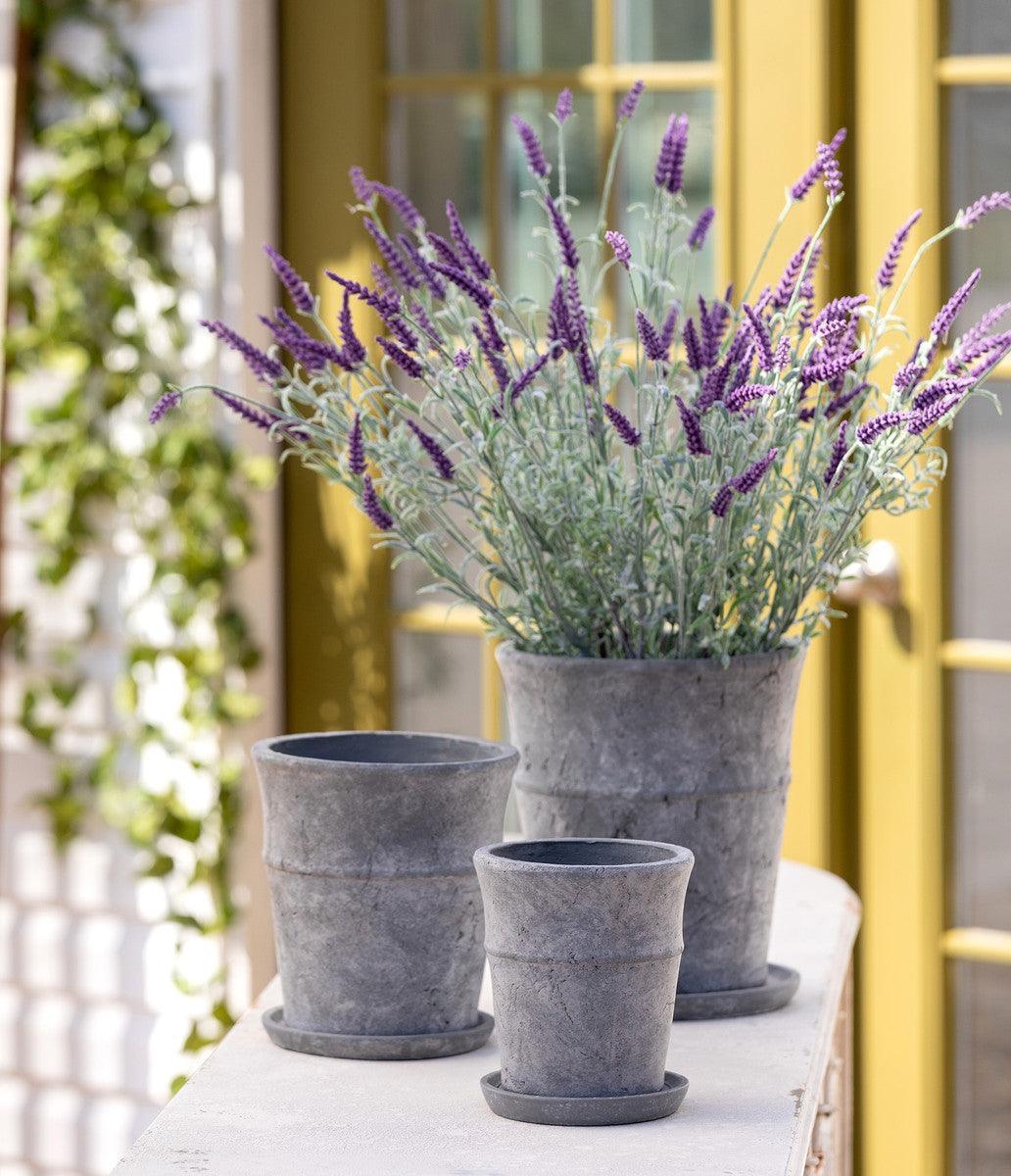 Meyer Cement Garden Pot w/ Tray, 5.5" - Signastyle Boutique