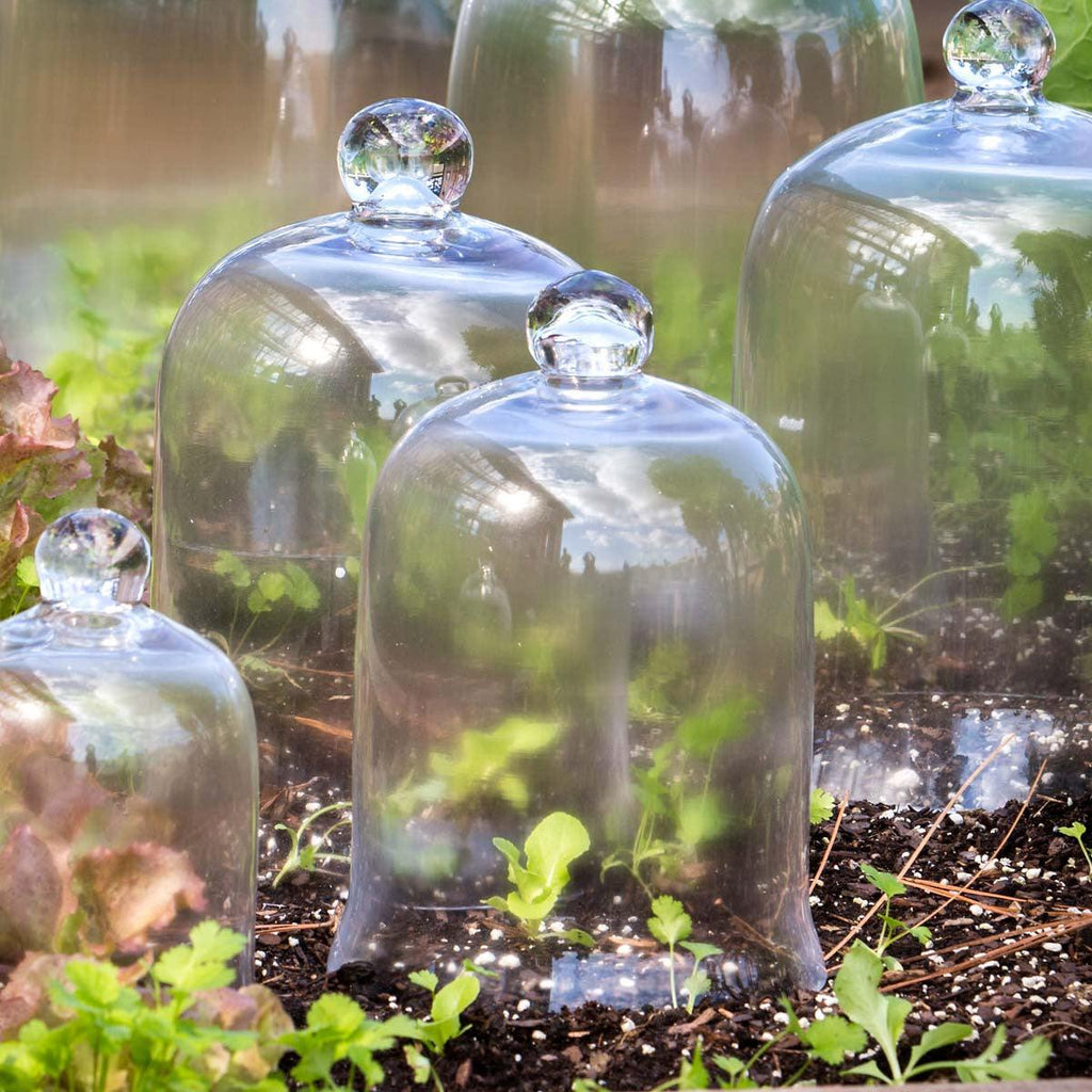 Bell Jar, Small-Containers-Rustic Barn Boutique