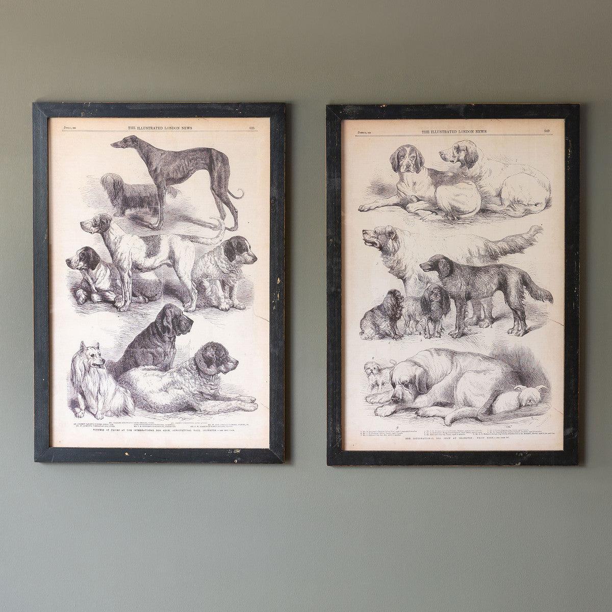 Canine Species Sepia Prints, 2 Assorted Styles - Signastyle Boutique