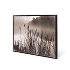 Framed Cattail Print - Signastyle Boutique
