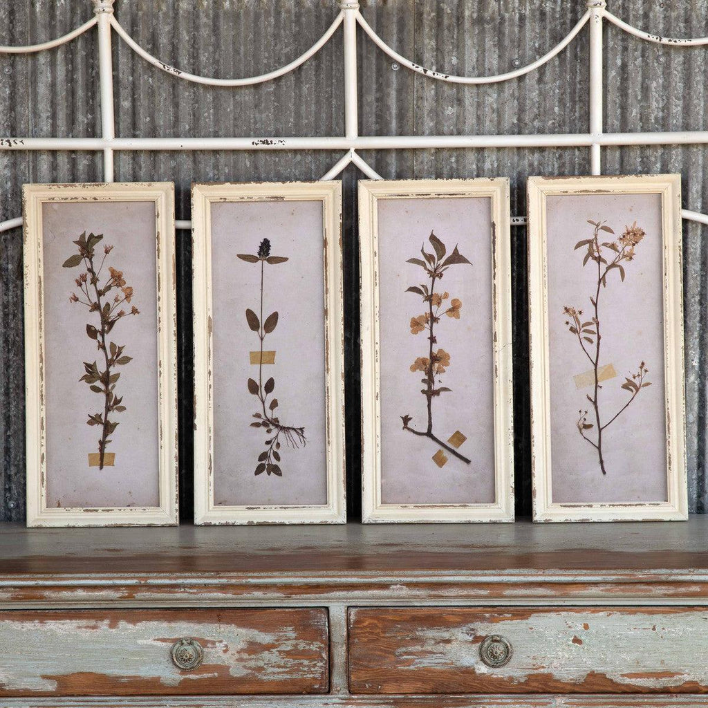 Pressed Botanical Framed Prints, Set of 4-Wall décor-Rustic Barn Boutique