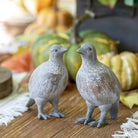 Quail Chicks, 2 Assorted Styles - Signastyle Boutique