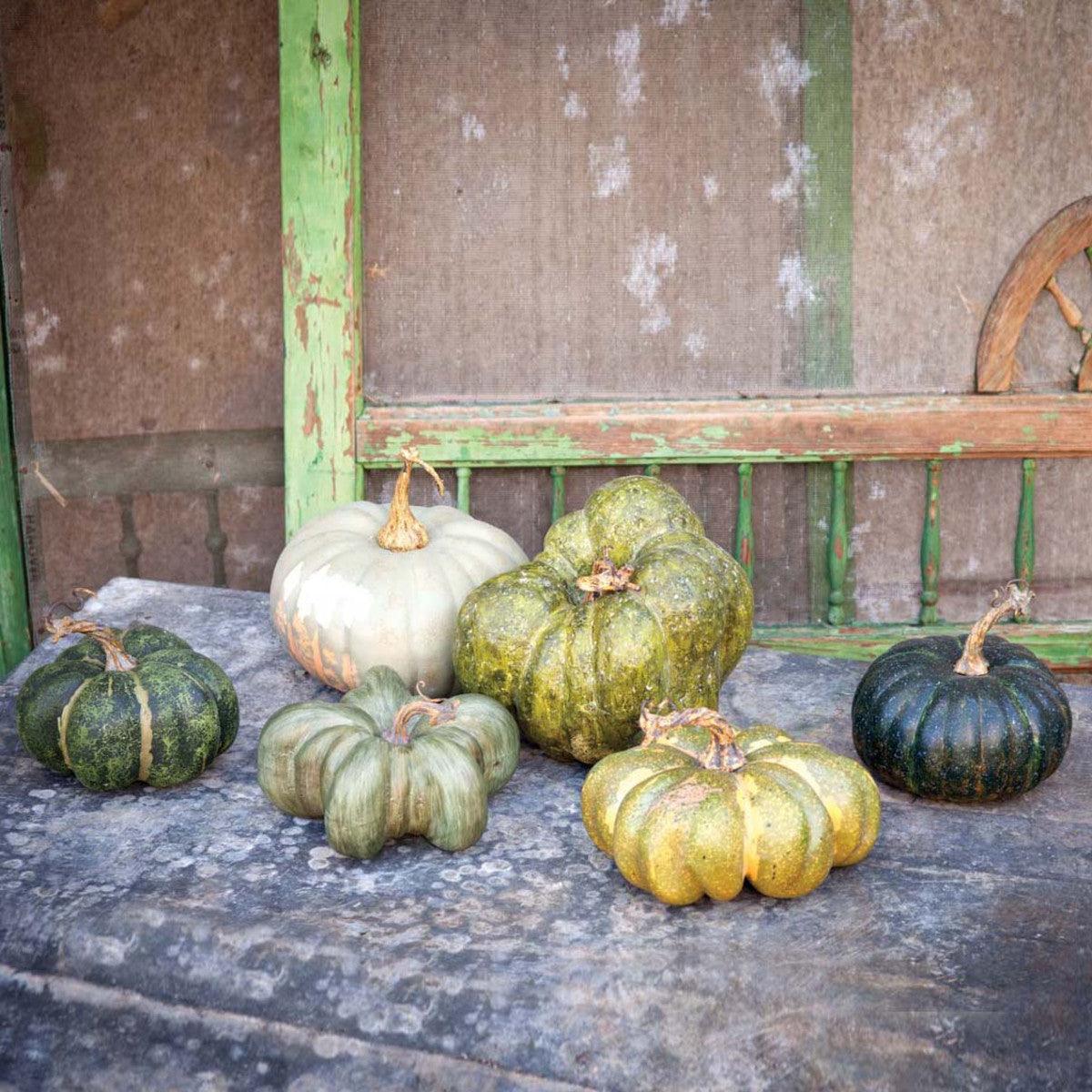 Green Heirloom Pumpkin Collection, Set of 6, Assorted Styles - Signastyle Boutique