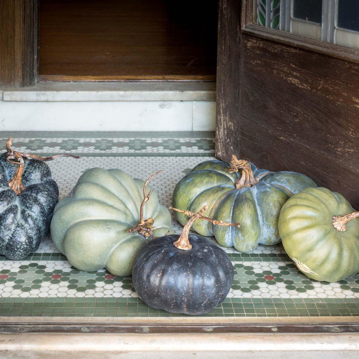 Green Heirloom Pumpkins, Set of 5, Assorted Styles - Signastyle Boutique
