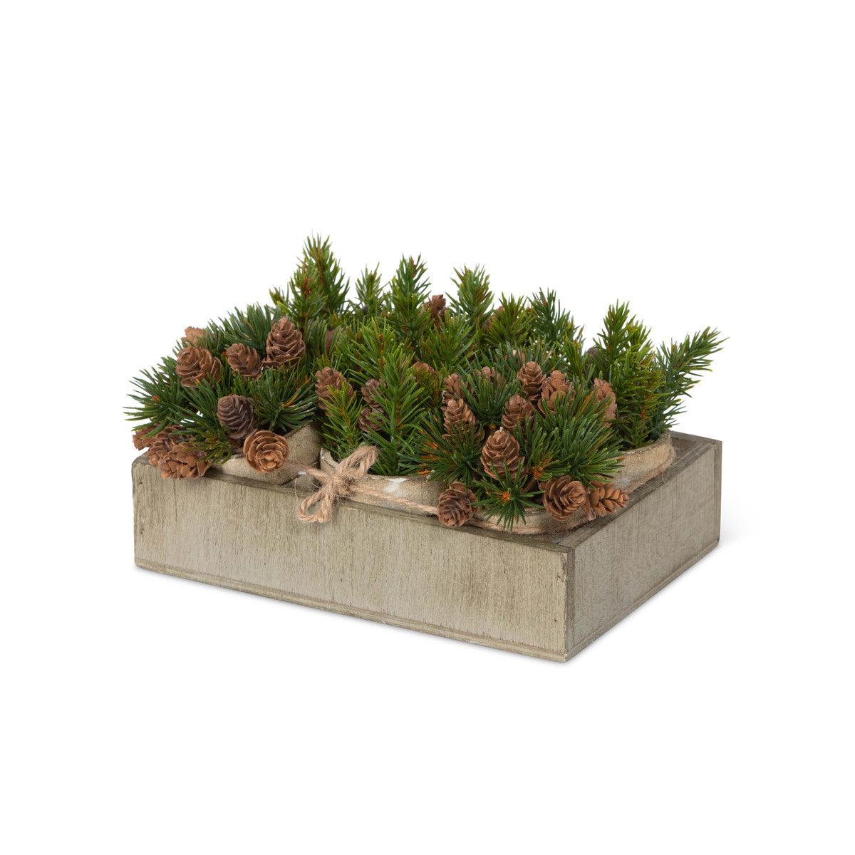 Winter Evergreen Planting Flat - Signastyle Boutique