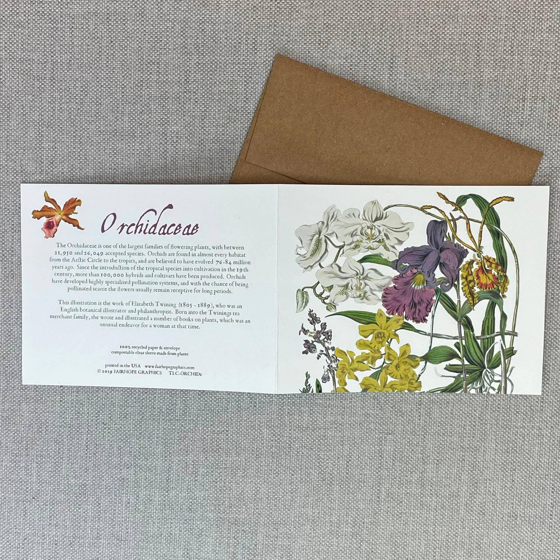 Orchid Card - Signastyle Boutique